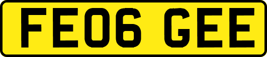 FE06GEE