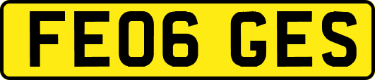 FE06GES
