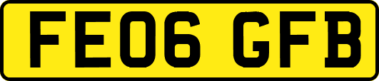 FE06GFB