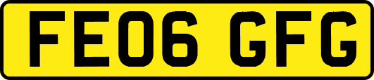 FE06GFG