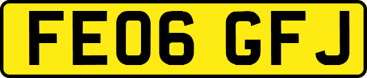 FE06GFJ