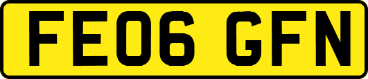 FE06GFN