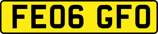 FE06GFO
