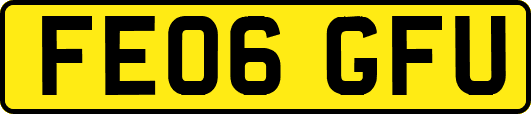 FE06GFU