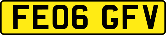FE06GFV