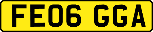 FE06GGA