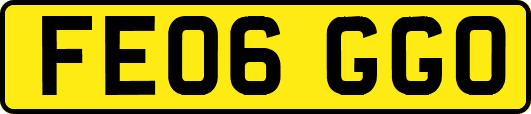 FE06GGO