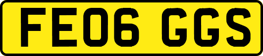 FE06GGS