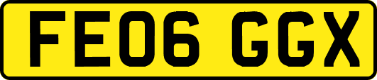 FE06GGX