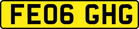 FE06GHG