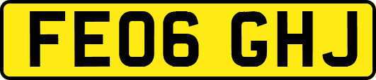 FE06GHJ