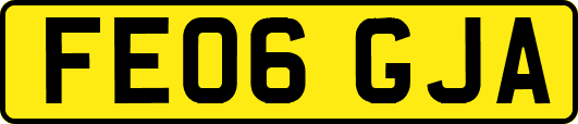 FE06GJA