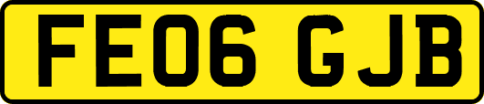 FE06GJB