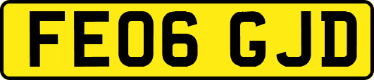 FE06GJD