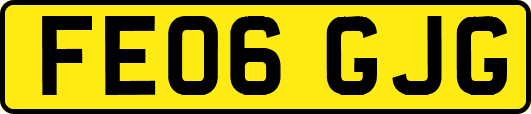 FE06GJG