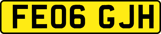 FE06GJH