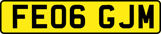 FE06GJM