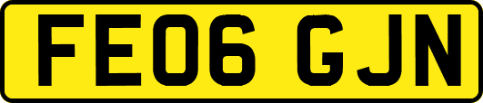 FE06GJN