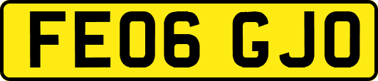 FE06GJO