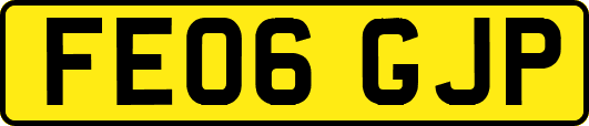 FE06GJP