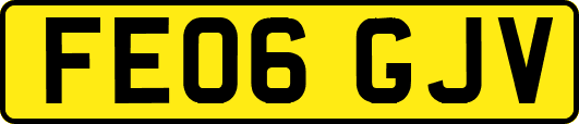 FE06GJV