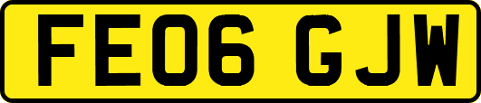 FE06GJW