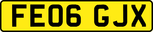 FE06GJX