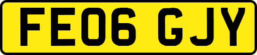FE06GJY