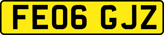 FE06GJZ