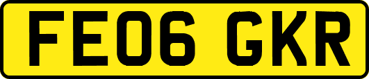 FE06GKR
