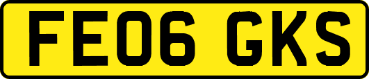 FE06GKS