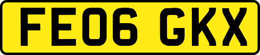 FE06GKX