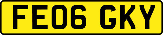 FE06GKY