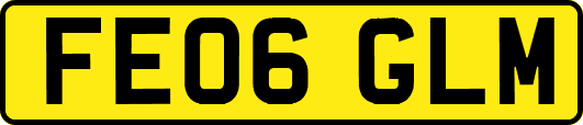FE06GLM