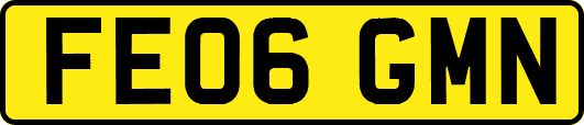 FE06GMN