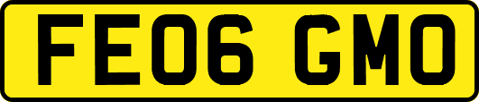 FE06GMO