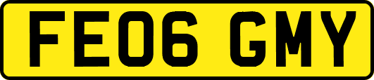 FE06GMY