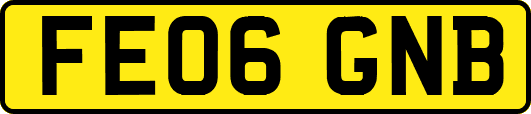 FE06GNB