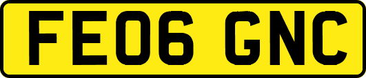 FE06GNC