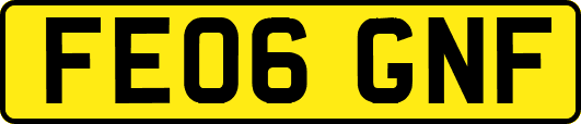 FE06GNF