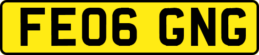 FE06GNG