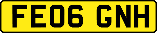 FE06GNH