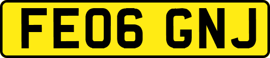 FE06GNJ