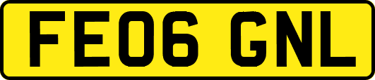 FE06GNL