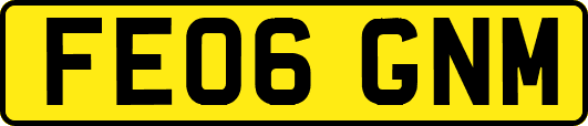 FE06GNM