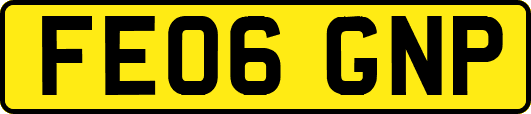 FE06GNP