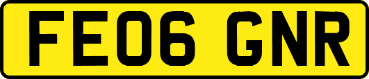 FE06GNR