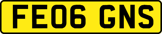 FE06GNS