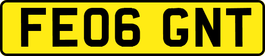 FE06GNT