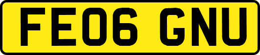 FE06GNU